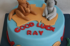 Ray - Oz Birthday Cake