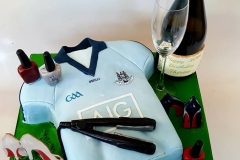 Therese - Dublin GAA Jersey 30th Birthday Cake