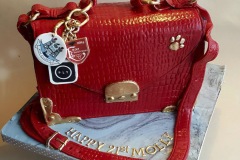 Molly - 21st Birthday Handbag Cake