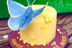 Avery - Butterfly birthday cake