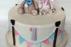 Tadhg & Nessa - Teddy Bear First Birthday Cake