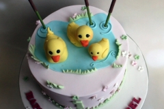Isobel - Duck Birthday Cake