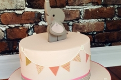 Ríona - Elephant First Birthday Cake