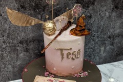 Tess - Harry Potter Birthday Cake