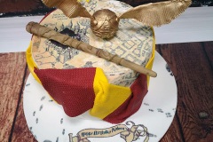 Aideen - Harry Potter Birthday Cake