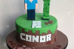 Conor - Minecraft Birthday Cake