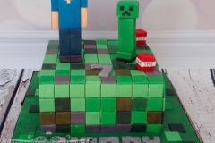 Harry - Minecraft Birthday Cake