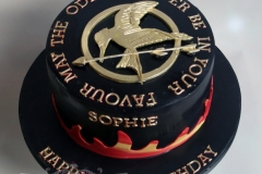 Sophie - Mockingjay / Hunger Games Birthday Cake