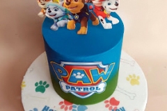 Kilian - Paw Patrol Birthday Cake