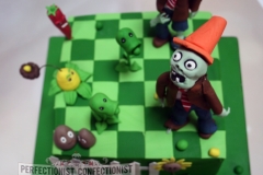 Shane - Plants vs. Zombies Cake