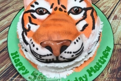 Matthew - Tiger Birthday Cake