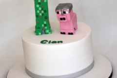 Cian - Minecraft Communion Cake