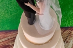 Sean and Deirdre - Handmade wedding cake topper
