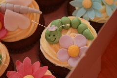 Insect Fairy Cupcakes