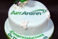 Aer Arann Cake - New Arrivals