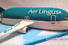 Deirdre - Aer Lingus Retirement Cake