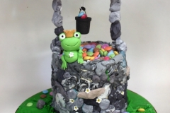 Guess How Many Smarties - Wishing well cake