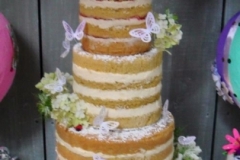 Rebecca and Wes - Naked Wedding Cake