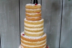 Rebecca and Wes - Naked Wedding Cake