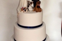 John and Joanne - Simple Wedding Cake