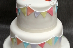 Ailish & Eugene- Penguin Wedding Cake