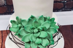 Sinead and Kendrick - Succulent Wedding Cake