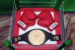 Joe - Boxing Cake