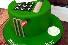 Ray - 70th Cricket Birthday Cake