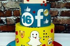 Eabha - Instragram, Facebook and Snapchat 16th Birthday Cake