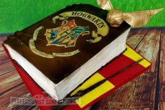 Maria - Harry Potter Birthday Book Cake