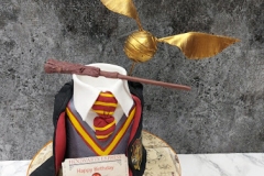Cillian - Harry Potter Birthday Cake