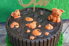 Stu - Happy as a pig in mud 40th birthday cake