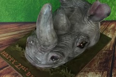 Sarah - 21st Birthday Cake / Rhino Head Cake