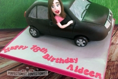Aideen - Skoda Birthday Cake