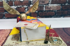 Louise - Harry Potter Birthday Cake