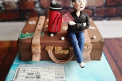 Eoin - Travel / Suitcase Birthday Cake