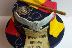 Lara - Harry Potter Birthday Cake