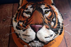 Nathan - Tiger Face Birthday Cake