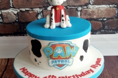 Ryan - Marshall Paw Patrol Birthday Cake