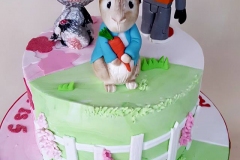 Maya - Peter Rabbit Birthday Cake