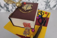 Cathy - Harry Potter Spellbook Birthday Cake