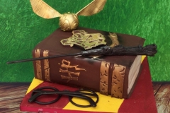 Siofra - Harry Potter Birthday Cake