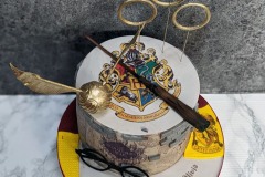 Olivia - Harry Potter Birthday Cake