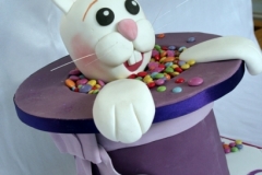 Magician\'s Rabbit / Guess How Many Smarties Cake