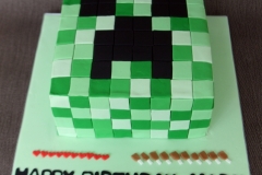 Mark - Minecraft Creeper Birthday Cake