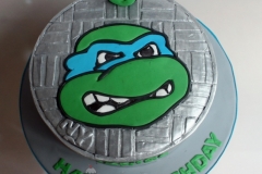 Daniel - Ninja Turtle Birthday Cake