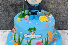 Finn - Octonauts Birthday Cake