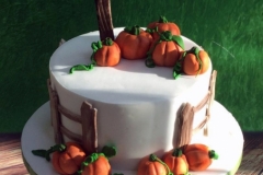 Adam - Pumpkin Patch Birthday Cake