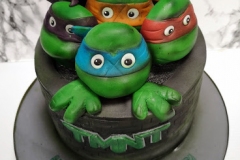 Darragh - Teenage Mutant Ninja Turtles Birthday Cake