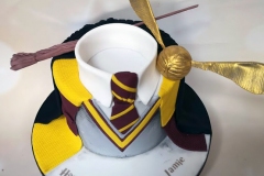 Jamie - Harry Potter Birthday Cake